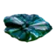 Cryotic